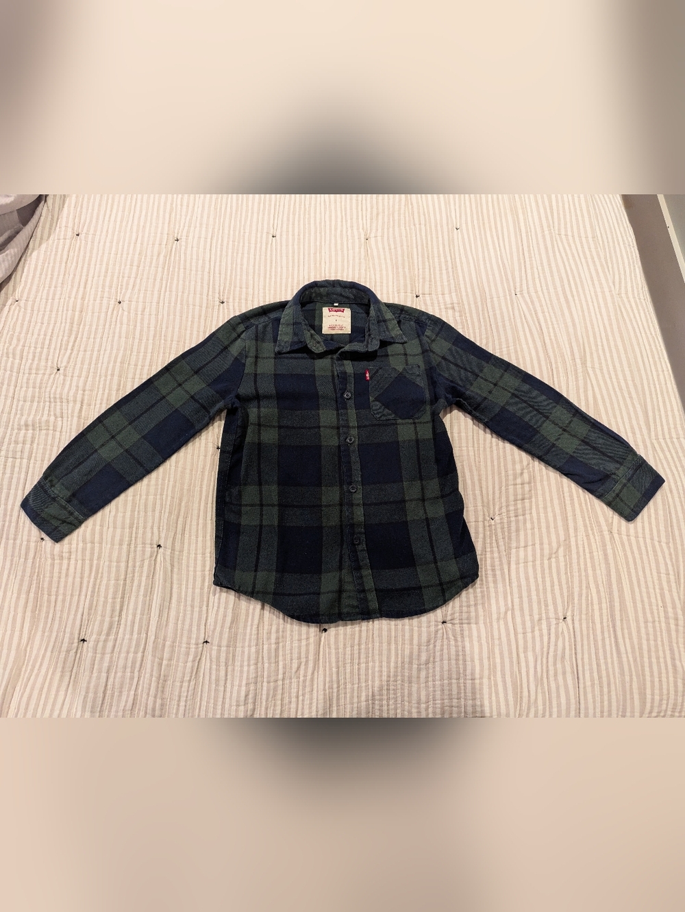 Levi's Boys Navy & Green Flannel Button-Down Shirt